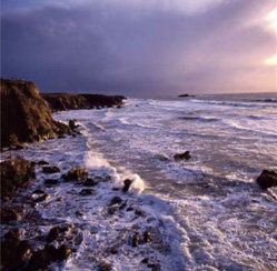 Côte sauvage (Presqu'île de Quiberon)  (morbihan), à proximité de notre gite de charme en location dans le morbihan